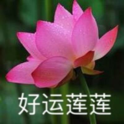 禁区逃生游戏下载